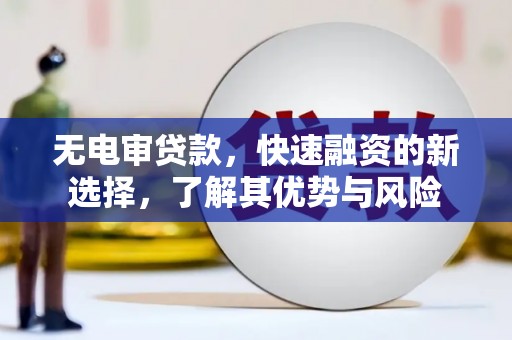 雁山无电审贷款，快速融资的新选择，了解其优势与风险