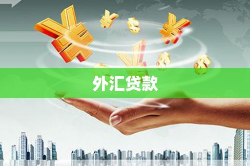 雁山外汇贷款