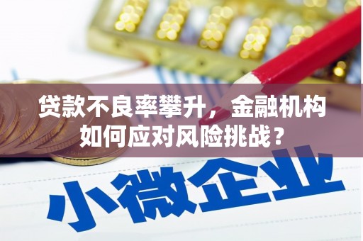 雁山贷款不良率攀升，金融机构如何应对风险挑战？