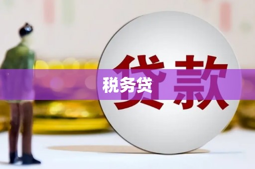 雁山税务贷