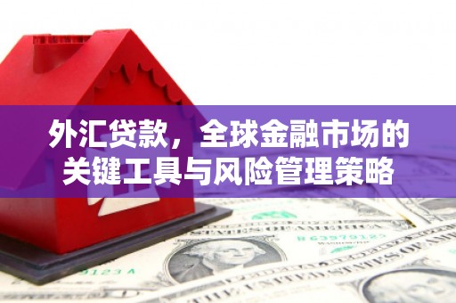 雁山外汇贷款，全球金融市场的关键工具与风险管理策略