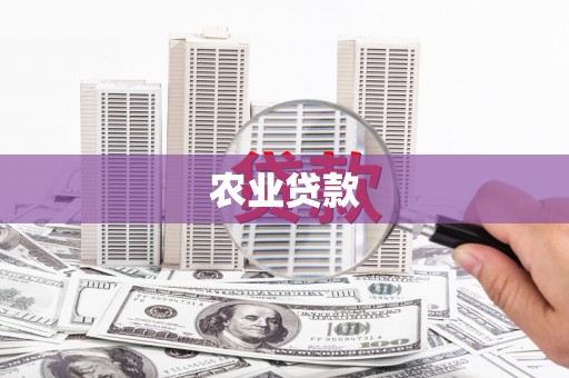 雁山农业贷款