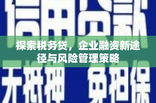 雁山探索税务贷，企业融资新途径与风险管理策略
