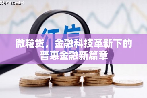 雁山微粒贷，金融科技革新下的普惠金融新篇章