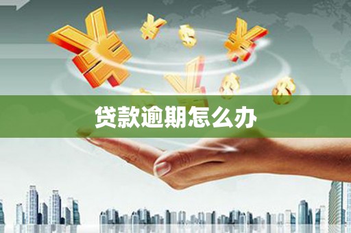 雁山贷款逾期怎么办