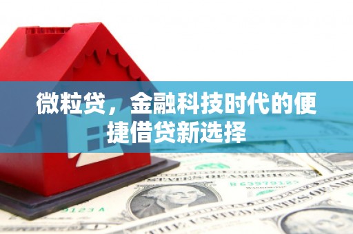 雁山微粒贷，金融科技时代的便捷借贷新选择