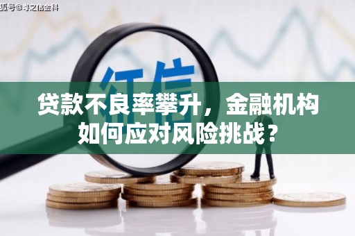 雁山贷款不良率攀升，金融机构如何应对风险挑战？