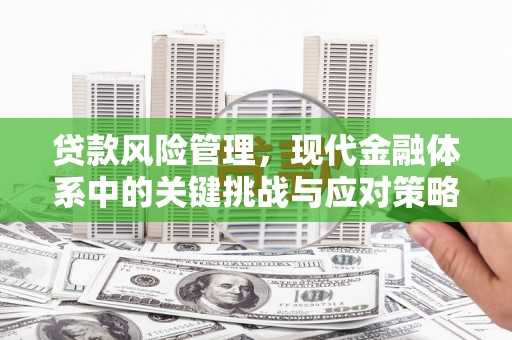 雁山贷款风险管理，现代金融体系中的关键挑战与应对策略