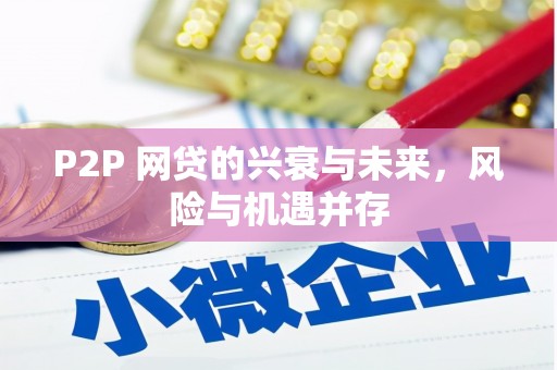 雁山P2P 网贷的兴衰与未来，风险与机遇并存