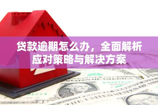 雁山贷款逾期怎么办，全面解析应对策略与解决方案