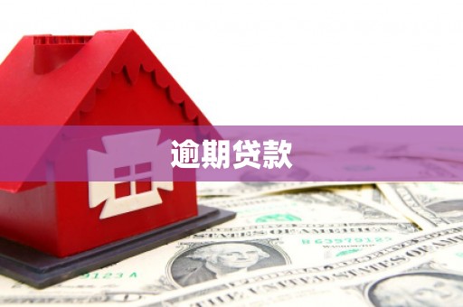 雁山逾期贷款